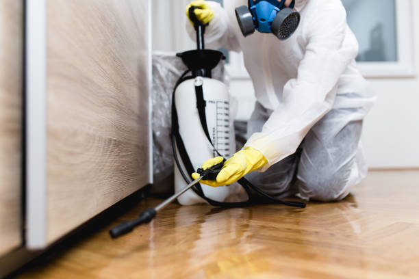 Best Residential Pest Control  in Shallowater, TX