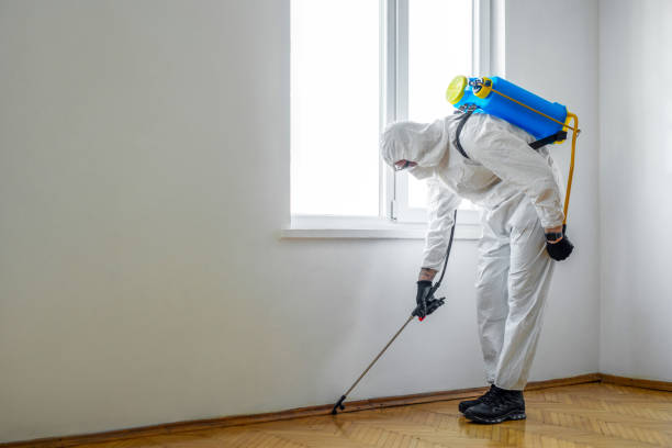 Pest Prevention Services in Shallowater, TX
