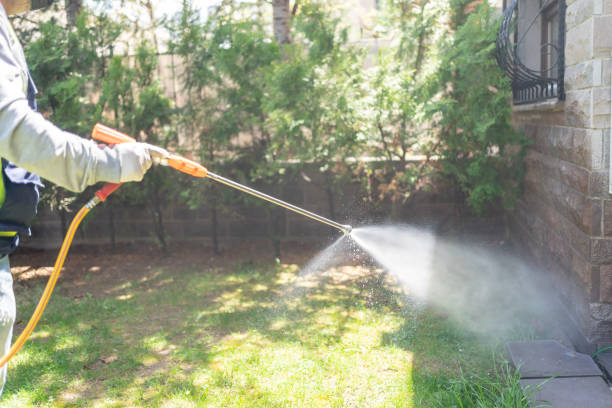 Trusted Shallowater, TX Pest Control Experts