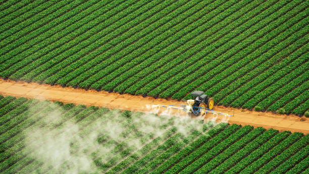 Best Commercial Pest Control Services  in Shallowater, TX