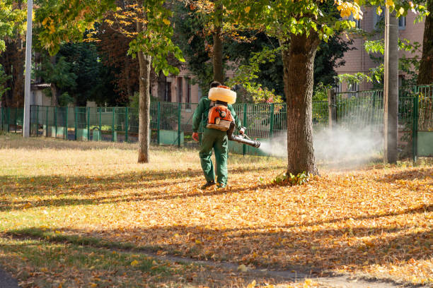 Best Termite Control Services  in Shallowater, TX