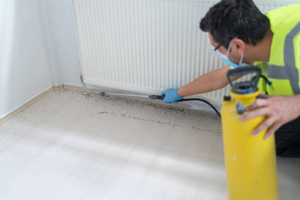 Best Affordable Pest Control Services  in Shallowater, TX