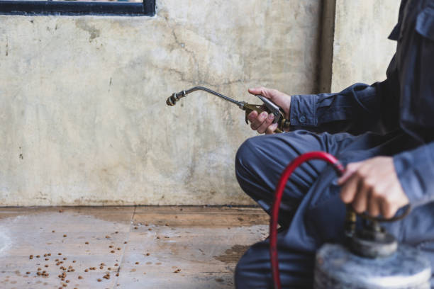 Pest Control for Restaurants in Shallowater, TX