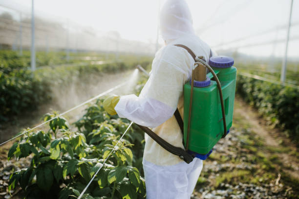 Best Pest Prevention Services  in Shallowater, TX